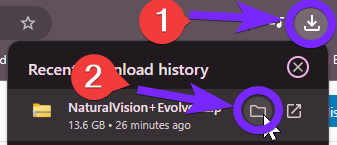 Browser download history showing the completed download of NaturalVision Evolved (NVE) zip file for GTA 5, with icons indicating access to the file folder.